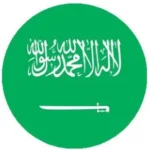 41A7XILtPdL 540x e1678548884251 291x300 1